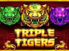 triple tigers