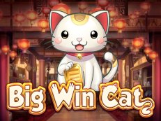 Big Win Cat gokkast